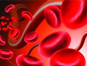כיצד נקבעים אחוזי נכות לחולים במחלות דם?